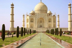 Délhi: Excursão ao nascer do sol no Taj Mahal Conservação de elefantes na vida selvagem