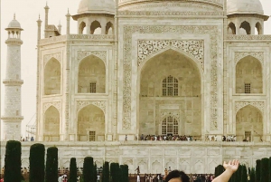 Delhi: Taj Mahal Sunrise Tour Elefantenschutz in freier Wildbahn