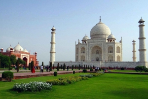 Delhi: Taj Mahal Zonsopgang Tour wildlife Elephant Conservation