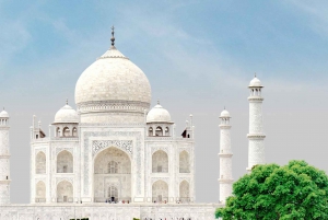 Delhi: Taj Mahal soloppgangstur med bevaring av elefanter i naturen