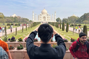 Delhi: Taj Mahal solopgangstur med bevarelse af vilde elefanter