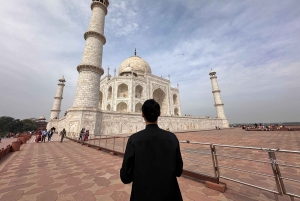 Délhi: Excursão ao nascer do sol no Taj Mahal Conservação de elefantes na vida selvagem