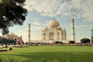 Delhi: Taj Mahal Sunrise Tour djurliv Elefantskydd