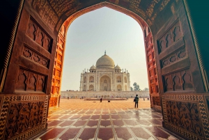 Delhi : Visite du Taj Mahal au lever du soleil, préservation de la faune et de la flore, conservation des éléphants