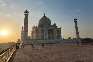 Delhi: Taj Mahal Sunrise Tour - ochrona słoni przed dziką przyrodą