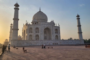 Delhi: Taj Mahal Sunrise Tour djurliv Elefantskydd