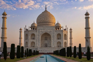 Delhi: Taj Mahal Sunrise Tour Elefantenschutz in freier Wildbahn