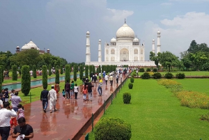 Delhi: Taj Mahal Zonsopgang Tour wildlife Elephant Conservation