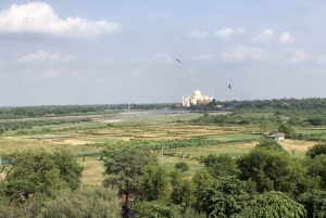 Delhi: Taj Mahal soloppgangstur med bevaring av elefanter i naturen