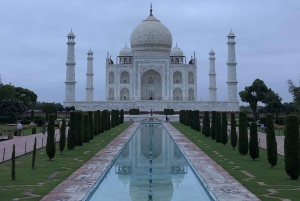 Delhi: Taj Mahal Zonsopgang Tour wildlife Elephant Conservation