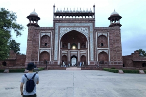 Delhi: Taj Mahal Zonsopgang Tour wildlife Elephant Conservation