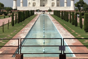 Delhi: Taj Mahal Sunrise Tour djurliv Elefantskydd