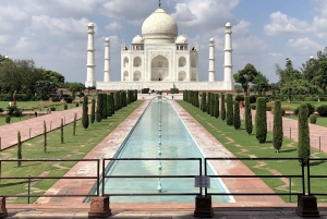 Delhi: Taj Mahal Zonsopgang Tour wildlife Elephant Conservation