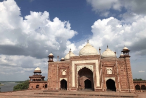 Delhi: Taj Mahal soloppgangstur med bevaring av elefanter i naturen