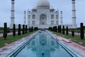 Delhi: Taj Mahal solopgangstur med bevarelse af vilde elefanter