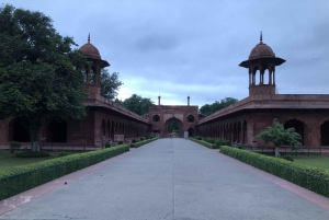 Delhi: Taj Mahal Sunrise Tour Elefantenschutz in freier Wildbahn