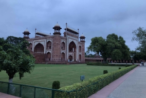 Delhi: Taj Mahal auringonnousu retki villieläimiin elefanttien suojelu