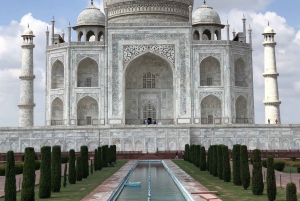 Delhi: Taj Mahal Sunrise Tour Elefantenschutz in freier Wildbahn