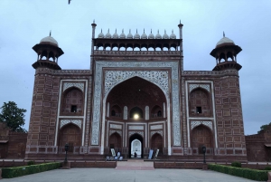 Delhi: Taj Mahal Sunrise Tour Elefantenschutz in freier Wildbahn