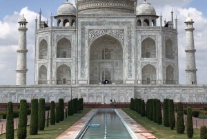 Delhi : Visite du Taj Mahal au lever du soleil, préservation de la faune et de la flore, conservation des éléphants