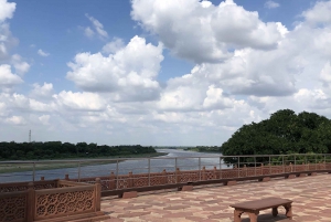 Delhi : Visite du Taj Mahal au lever du soleil, préservation de la faune et de la flore, conservation des éléphants