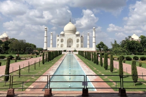 Delhi: Taj Mahal Sunrise Tour wildlife Elephant Conservation