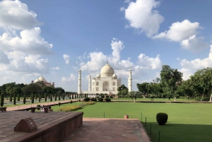 Delhi: Taj Mahal soloppgangstur med bevaring av elefanter i naturen