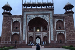 Delhi: Taj Mahal auringonnousu retki villieläimiin elefanttien suojelu