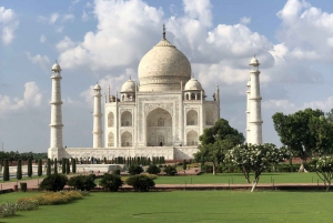 Delhi: Taj Mahal solopgangstur med bevarelse af vilde elefanter