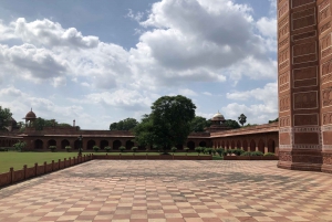 Delhi : Visite du Taj Mahal au lever du soleil, préservation de la faune et de la flore, conservation des éléphants