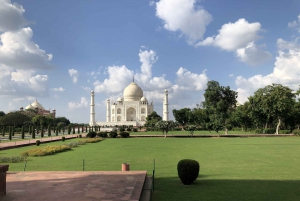 Delhi: Taj Mahal Sunrise Tour Elefantenschutz in freier Wildbahn