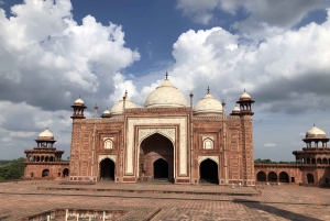 Delhi: Taj Mahal soloppgangstur med bevaring av elefanter i naturen