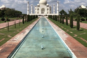 Delhi: Taj Mahal soloppgangstur med bevaring av elefanter i naturen