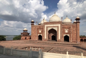 Delhi: Taj Mahal soloppgangstur med bevaring av elefanter i naturen