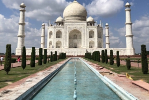 Delhi: Taj Mahal Sunrise Tour Elefantenschutz in freier Wildbahn