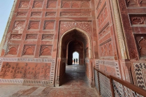 Delhi : Visite du Taj Mahal au lever du soleil, préservation de la faune et de la flore, conservation des éléphants