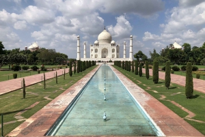 Delhi : Visite du Taj Mahal au lever du soleil, préservation de la faune et de la flore, conservation des éléphants