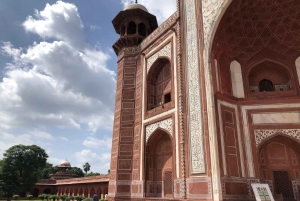 Delhi : Visite du Taj Mahal au lever du soleil, préservation de la faune et de la flore, conservation des éléphants