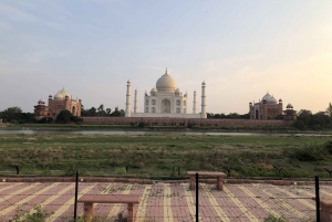 Delhi: Taj Mahal Sunrise Tour djurliv Elefantskydd