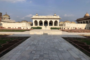 Delhi : Visite du Taj Mahal au lever du soleil, préservation de la faune et de la flore, conservation des éléphants