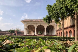 Delhi : Visite du Taj Mahal au lever du soleil, préservation de la faune et de la flore, conservation des éléphants