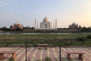 Delhi: Taj Mahal Sunrise Tour wildlife Elephant Conservation