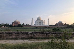 Delhi: Taj Mahal Sunrise Tour djurliv Elefantskydd