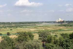 Delhi: Taj Mahal Sunrise Tour - ochrona słoni przed dziką przyrodą