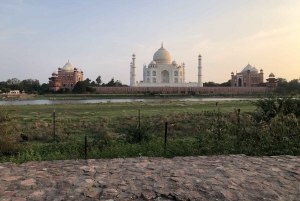 Delhi: Taj Mahal Sunrise Tour Elefantenschutz in freier Wildbahn