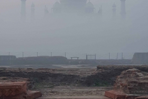 Delhi: Taj Mahal auringonnousu retki villieläimiin elefanttien suojelu