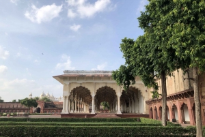 Delhi : Visite du Taj Mahal au lever du soleil, préservation de la faune et de la flore, conservation des éléphants