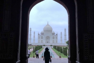 Delhi: Taj Mahal Sunrise Tour - ochrona słoni przed dziką przyrodą