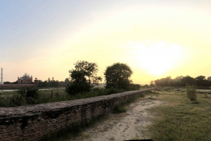 Delhi: Taj Mahal Sunrise Tour Elefantenschutz in freier Wildbahn