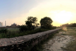 Delhi: Taj Mahal Sunrise Tour - ochrona słoni przed dziką przyrodą